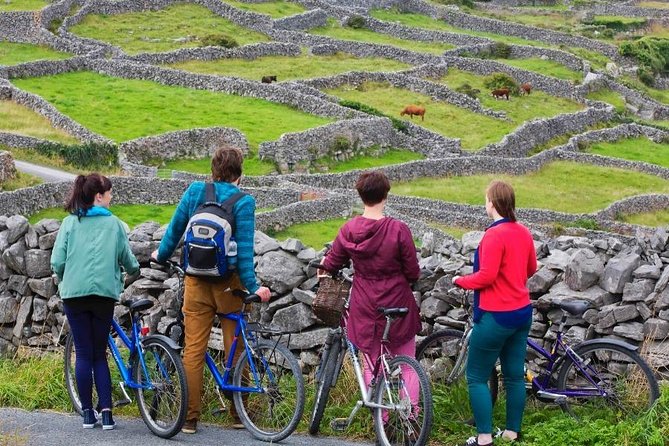 Cycling on Inisheer Island, Aran Islands. Self Guided. Full Day. - The castle, fort, and village views