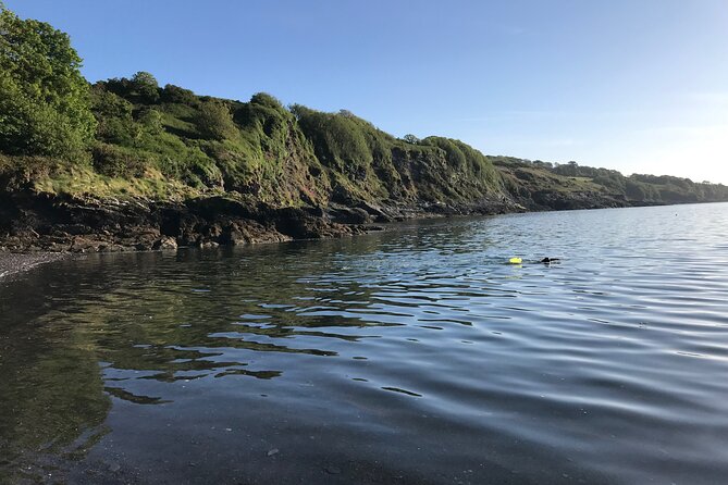 Dawn Pilgrimage and Swim in West Cork - Who should book this experience