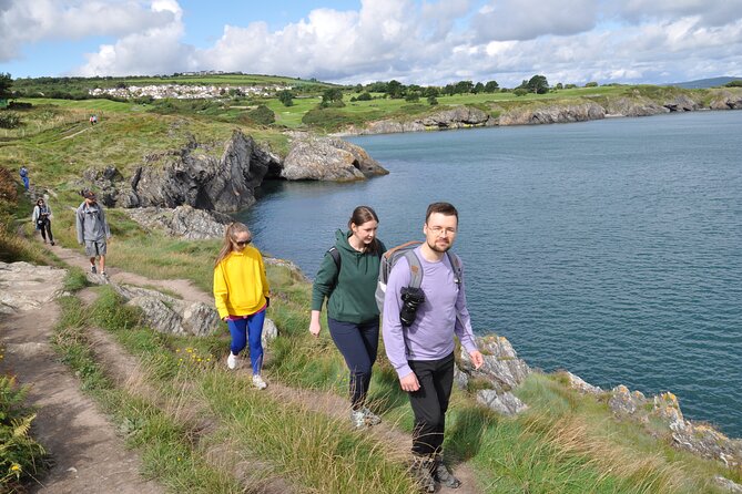 Day Tour from Dublin to Wicklow: Cliffs, Heritage, Wildlife, Gaol - Wicklow Town, a Viking settlement with a rough past
