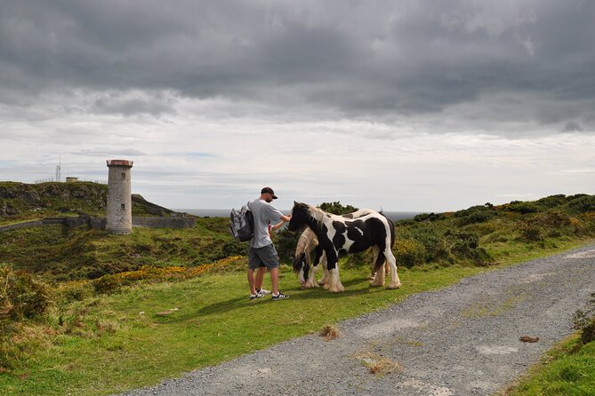 Day Tour from Dublin to Wicklow: Cliffs, Heritage, Wildlife, Gaol - Wicklow Gaol and the cost of the day