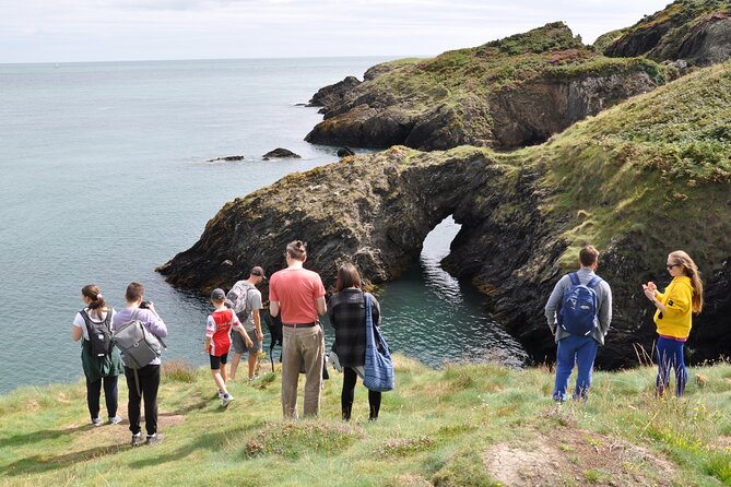 Day Tour from Dublin to Wicklow: Cliffs, Heritage, Wildlife, Gaol - Who will get the most from this Wicklow day