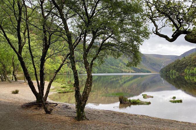 Day Tour from Dublin: Wicklow Mountains, Glendalough, Powerscourt - Leaving Dublin for County Wicklow