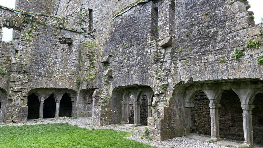 Day Tour: Hill of Tara Trim Castle Boyne Valley Celtic sites - Bective Abbey, a picnic among medieval ruins