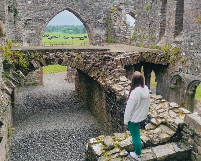 Day Tour: Hill of Tara Trim Castle Boyne Valley Celtic sites - Who should book this private Meath tour?