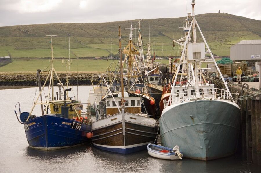 Dingle Day Tour from Limerick - Inch Beach and the open Atlantic