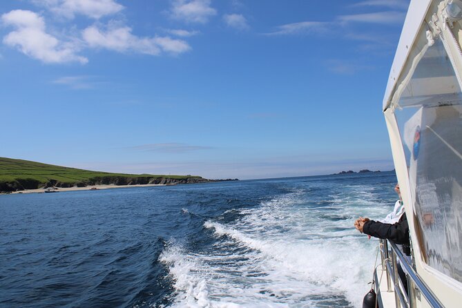 Dingle Dolphin Blasket Adventures - Dingle Bay opens the view