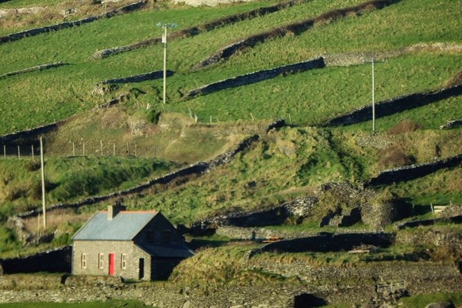 Dingle: Hour Slea Head Drive Tour 4hr - Personal Chauffeur Guide - Fahan beehive huts and a memorable farm encounter