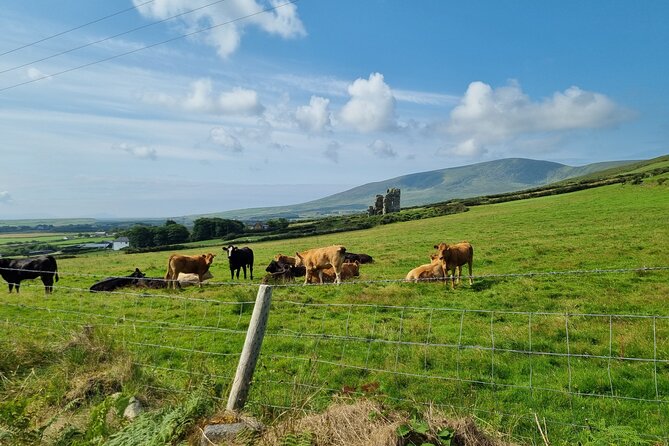 Dingle: Hour Slea Head Drive Tour 4hr - Personal Chauffeur Guide - Slea Head Point and the Blasket Islands