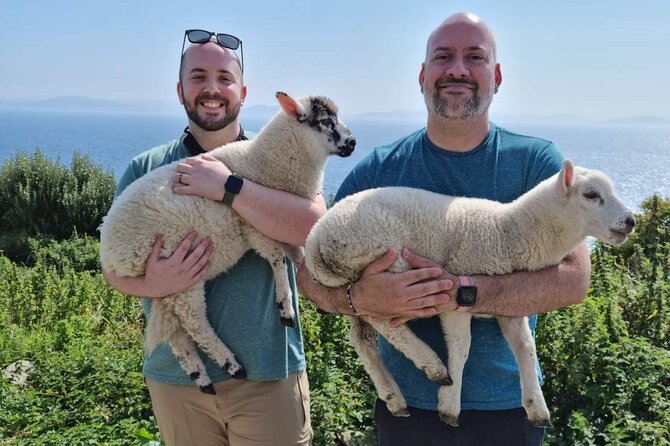 Dingle: Hour Slea Head Drive Tour 4hr - Personal Chauffeur Guide - Coumeenoole Beach and Dun Chaoin Pier