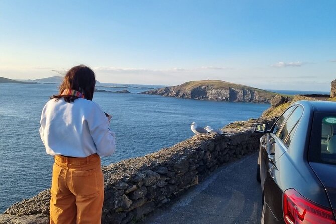 Dingle: Hour Slea Head Drive Tour 4hr - Personal Chauffeur Guide - Starting near Dingle and reaching Eask Tower