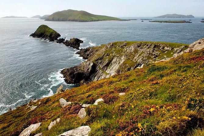 Dingle Peninsula Day Tour from Cork: Including The Wild Altanic Way - The optional lamb and beehive hut stop