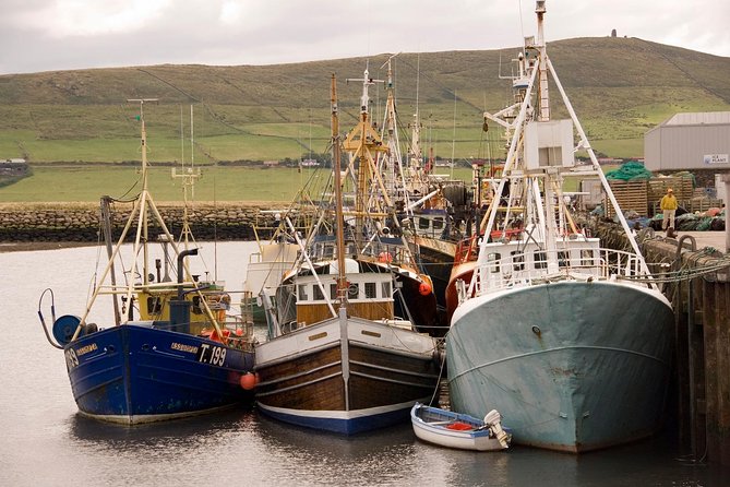 Dingle Peninsula Day Tour from Limerick: The Wild Atlantic Way - What makes this Dingle tour worth considering