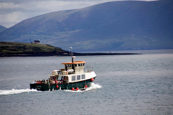 Dingle Peninsula Day Tour from Limerick: The Wild Atlantic Way - Leaving Limerick through Adare and Kerry