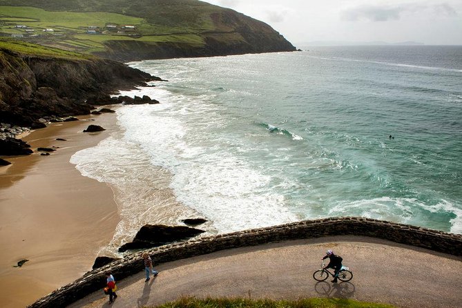 Dingle Peninsula Day Tour from Limerick: The Wild Atlantic Way - What the $66 price really buys you