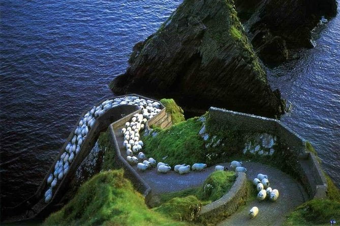 Dingle Peninsula Four Hour Private Tour - Slea Head Drive delivers the big views