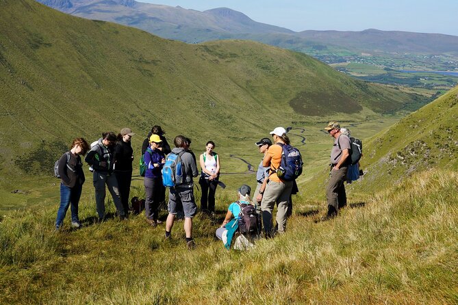 Dingle Peninsula Guided Walking Tour - Practical planning for the 10:00 a.m. start