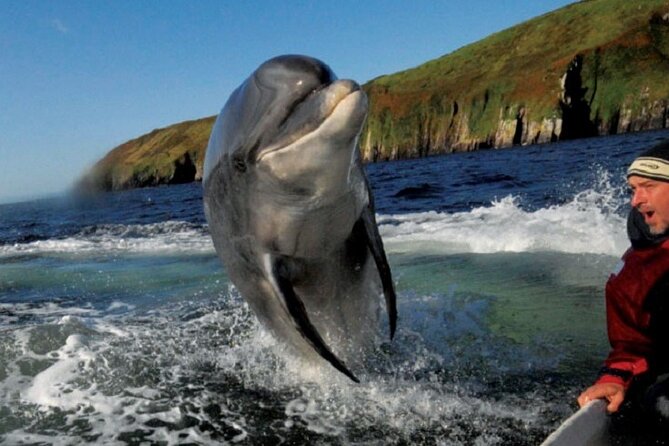 Dingle Peninsula Private Luxury Tour - Beaches, archaeology, and the return to Dingle