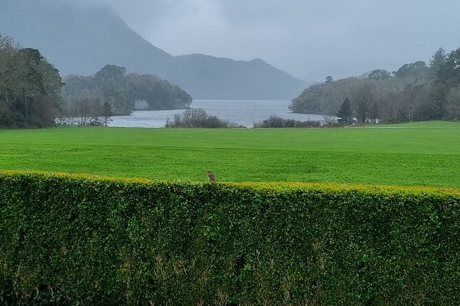 Dingle Peninsula Private Minibus Day Tour of the Fields of Gold - Dingle town gives the day a human center