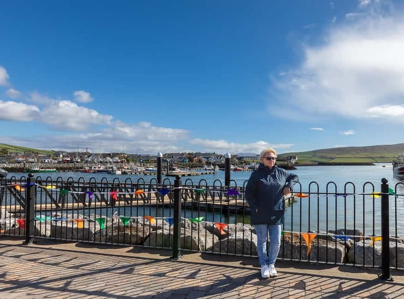Dingle Peninsula & Slea Head Drive: Tour from Killarney - Why a private Dingle day can be worth the price