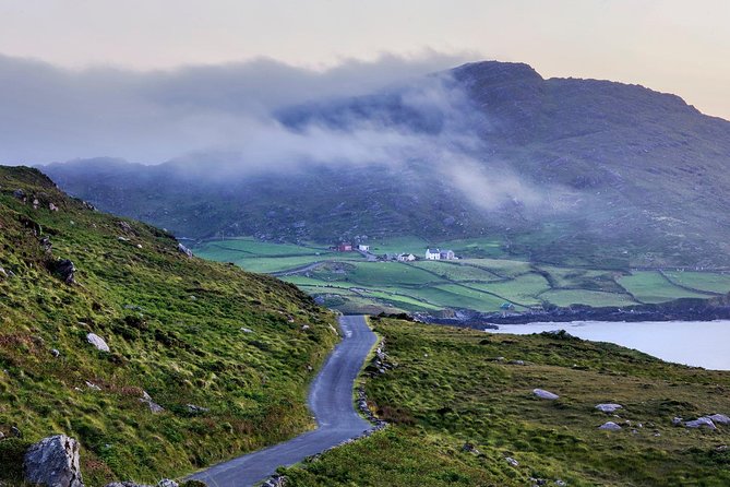 Dingle Peninsula & Slea Head Private Day Tour - Two hours in Dingle for lunch and local life