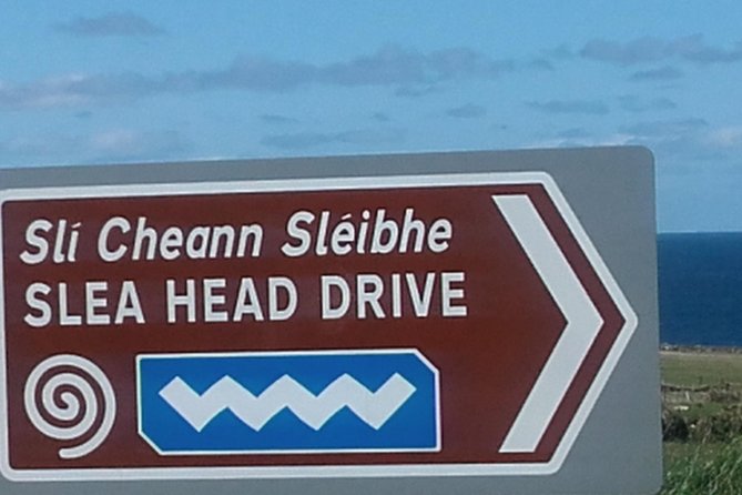 Dingle Peninsula & Slea Head - Private Mini Bus Tour - The guide can make or break the day