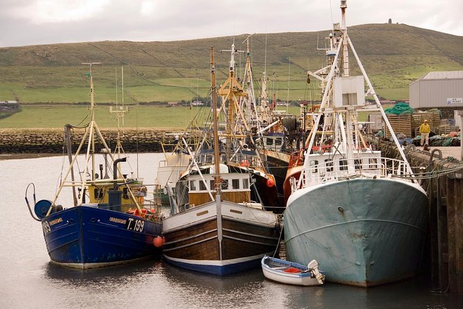 Dingle Peninsula Tour from Killarney: Including Wild Atlantic Way - Dingle town: 90 minutes to set your own pace