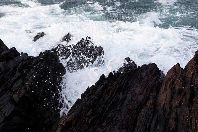 Dingle Peninsula Tour from Killarney: Including Wild Atlantic Way - How good is the $54.07 value?