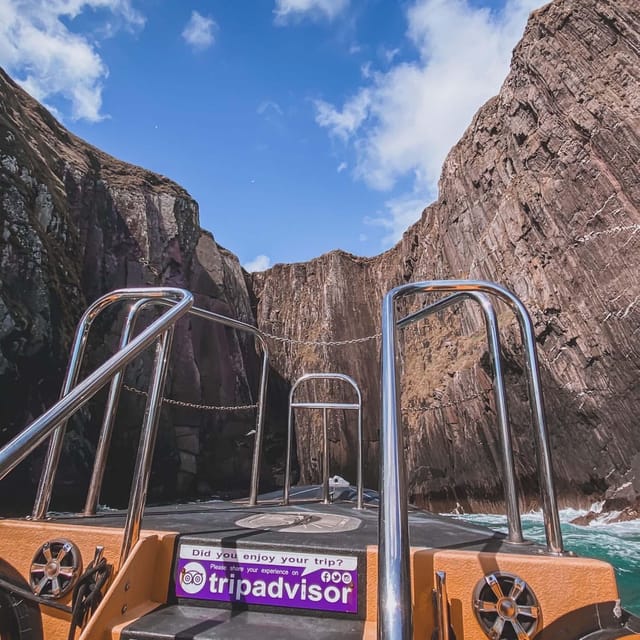 Dingle: Sea Safari by RIB Boat - Starting at Dingle Sea Safari