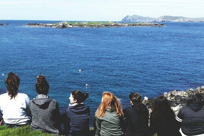 Dingle to Blasket Island Ferry - Wildlife sightings are a lucky bonus