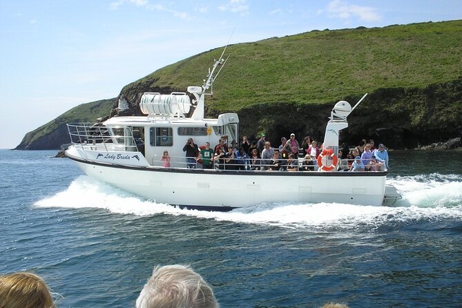 Dingle to Blasket Island Ferry - When to reserve and how to protect your plans