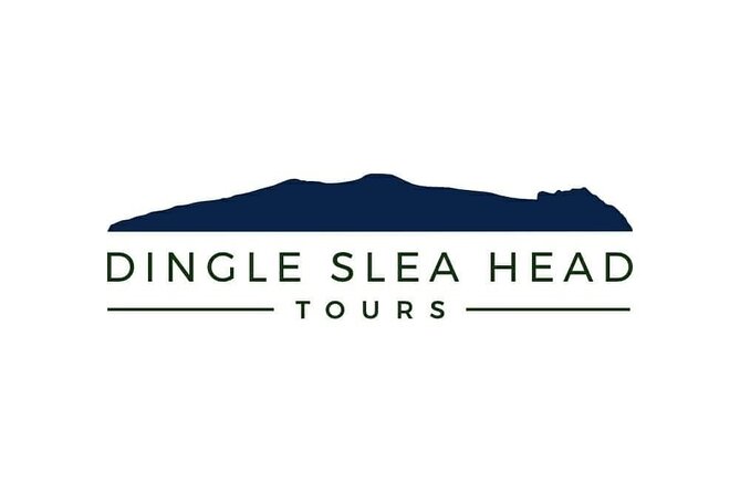 Dingle To Kerry Airport Private Chauffeur Transfer - Key points to know before booking