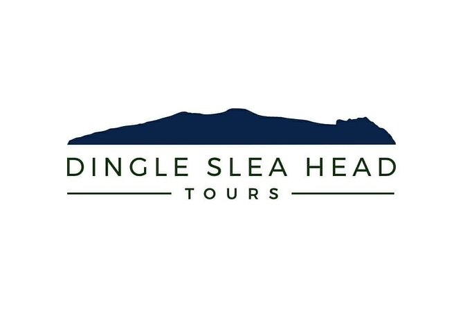 Dingle To Shannon Airport Private Chauffeur Transfer - Inside the black Mercedes-Benz E220