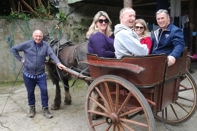 Dingle Town & Peninsula Private Chauffeur Driven Day Tour From Killarney Luxury - Conor Pass when the skies cooperate