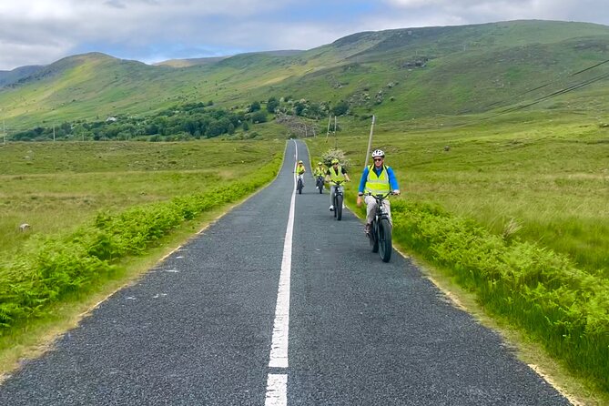 Discover Connemara Tour by Electric Fat Tyre Bike - A Sheepdog Demonstration and a Taste of Rural Ireland