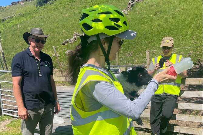 Discover Connemara Tour by Electric Fat Tyre Bike - Lunch in Clonbur or a Simple Picnic