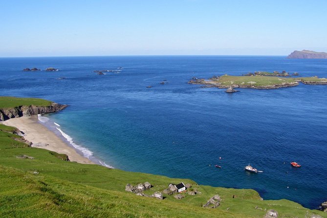 Dolphin and Whale Watching Tour from Dingle - Why this cruise is more than a wildlife checklist