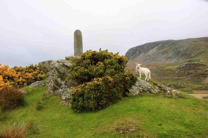 Donegal Coast One Day Self-Guided E-Bike Tour - Glencolmcille Folk Village: a paid stop with local character
