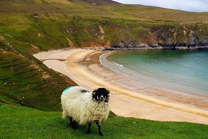 Donegal Private Tour Slieve League & Glenveagh National Park - Why this Donegal route works so well