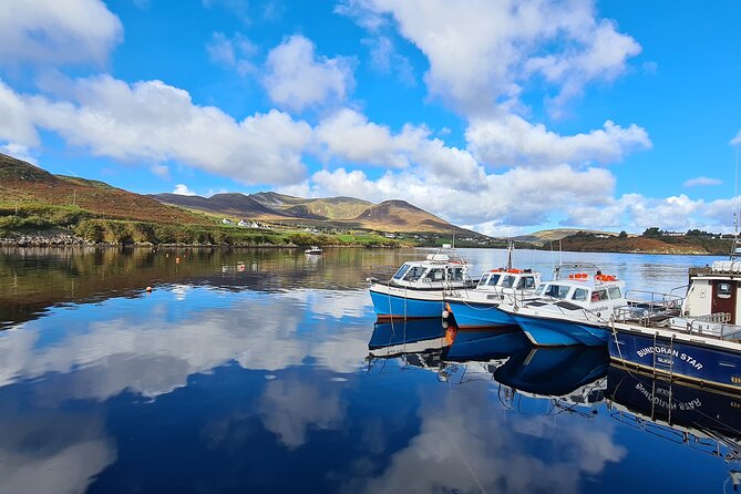 Donegal Private Tour Slieve League & Glenveagh National Park - Glenveagh Castle: gardens, woodland, and a darker past