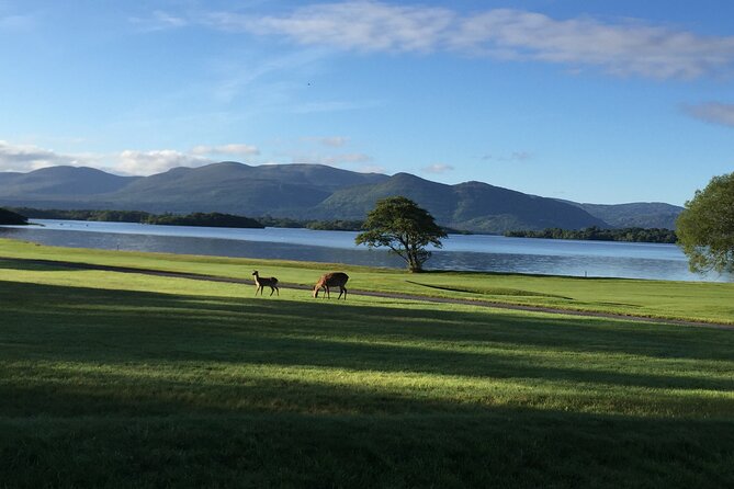 Dublin Airport Private Transfer: Dublin Airport to Killarney - Handling flights, bags, and delays