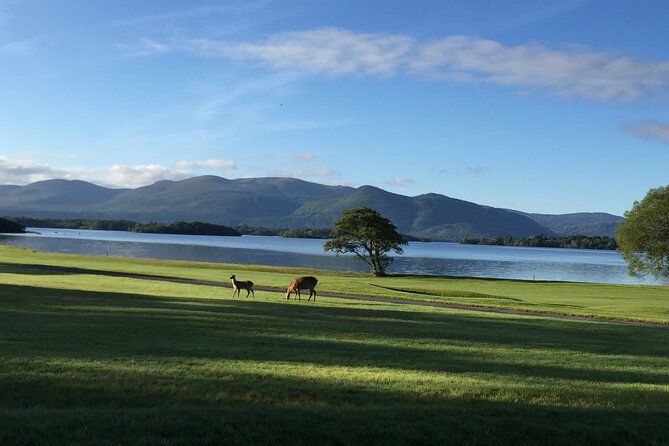 Dublin Airport Private Transfer: Killarney to Dublin Airport - Leaving Killarney without a rental car