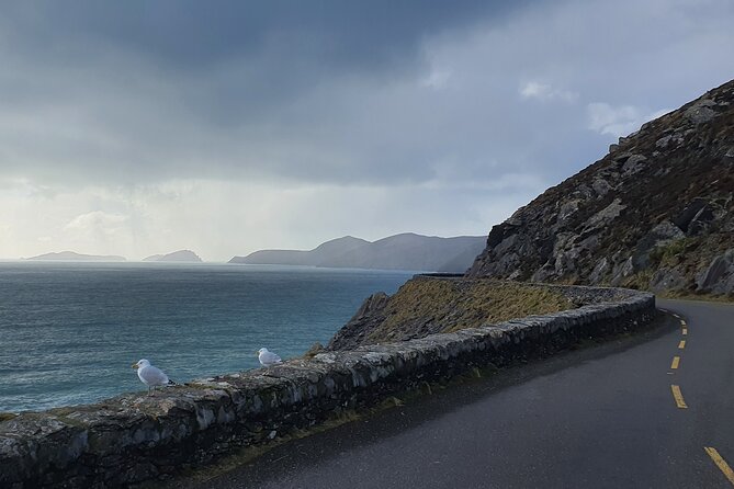 Dublin Airport to Galway ,Private Chauffeur Service - The drivers: friendly without turning the ride into a tour