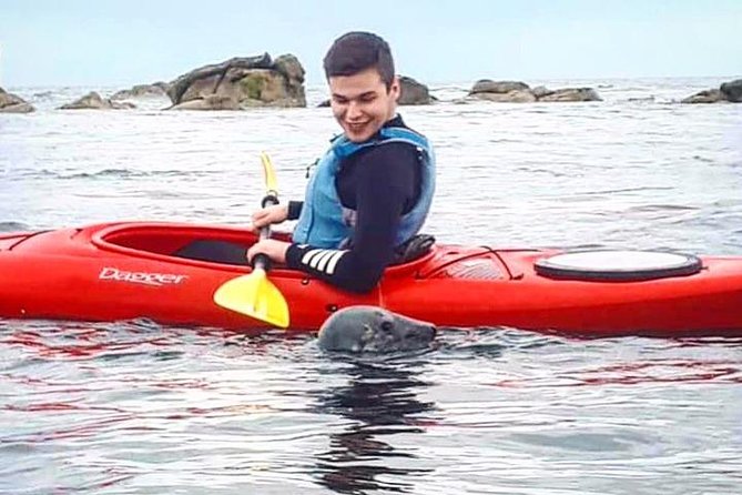 Dublin Bay Seal Kayaking Safari at Dalkey - Why this Dublin Bay outing is worth your time