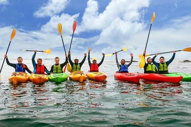 Dublin Bay Seal Kayaking Safari at Dalkey - Meeting the seals of Dalkey