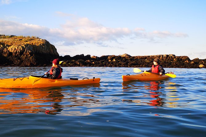 Dublin Bay Seal Kayaking Safari at Dalkey - The guides make the difference