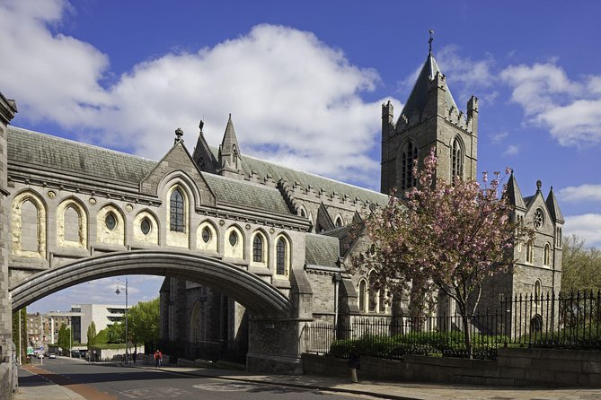 Dublin Christ Church Cathedral Admission Ticket - Who will enjoy this visit most