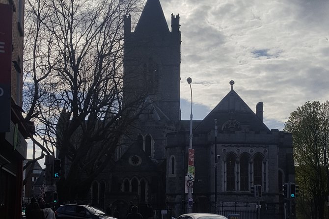 Dublin City Center Walking Tour - Dubh Linn Gardens and the Viking Footprint