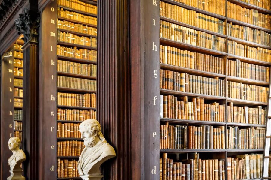 Dublin City Walking Tour, Vikings, St. Partick, Highlights - St Stephen’s Green and the 1916 duck story
