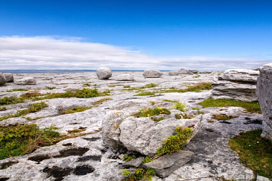 Dublin: Cliffs of Moher, Atlantic Edge & Galway City - Galway City in a tight two-hour window