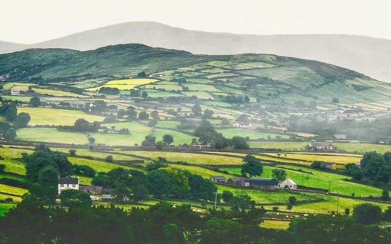 Dublin: Cliffs of Moher, Bunratty Castle and Ennis Day Trip - The coach ride is part of the experience, for better and worse